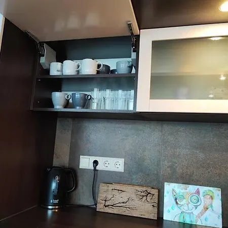 Apartment Kahe Magamistoaga Korter: Peresobiv Ja Lemmikloomasõbralik *
